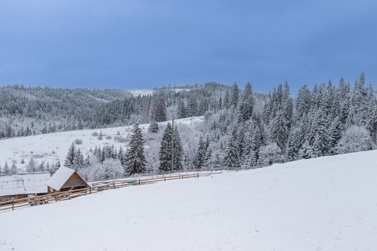 Шепіт Лісу Hotel Bukovel Exterior foto
